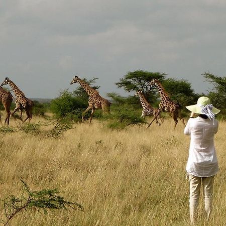 Maasai Simba Camp Hotell Amboseli Exteriör bild