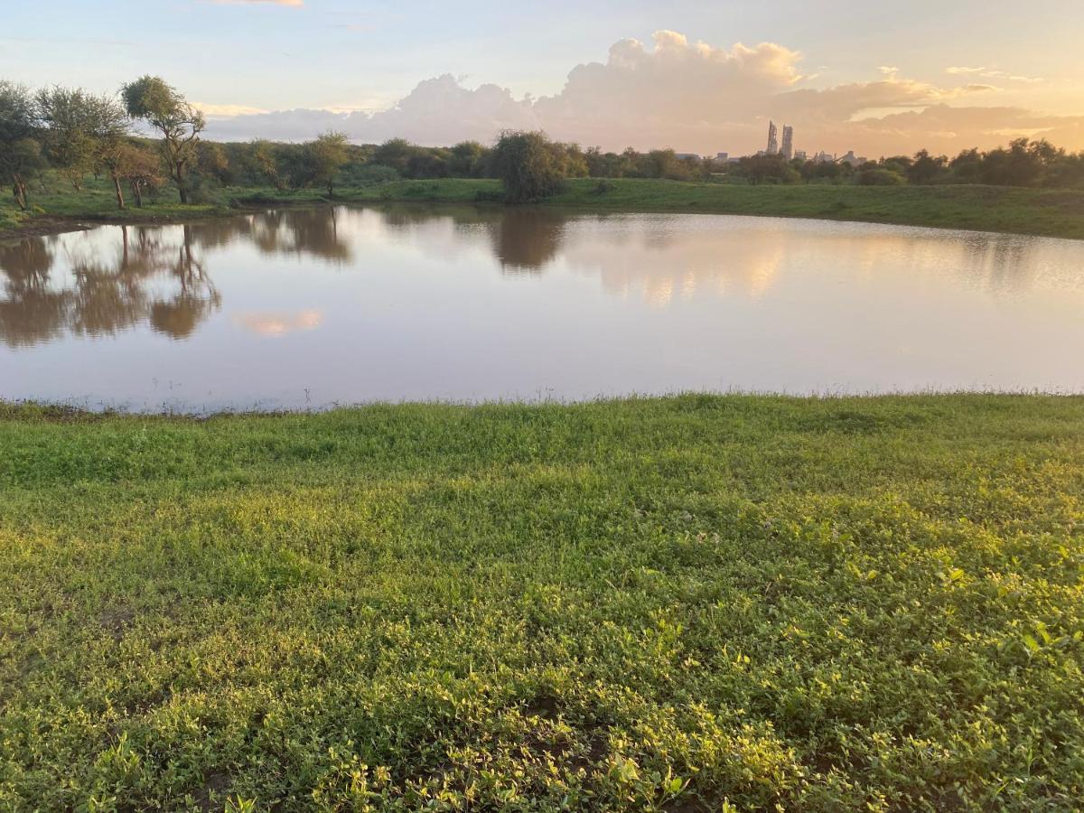 Maasai Simba Camp Hotell Amboseli Exteriör bild