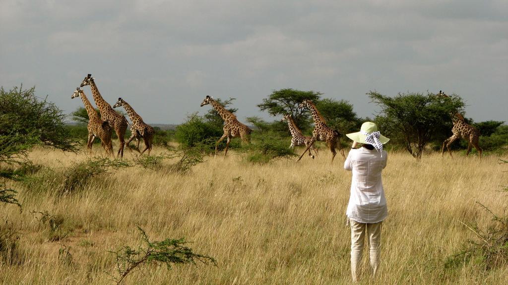Maasai Simba Camp Hotell Amboseli Exteriör bild