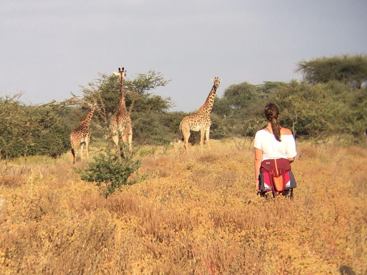 Maasai Simba Camp Hotell Amboseli Exteriör bild